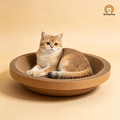 Round Cat Scratcher Bed Lounge - Scratch & Sleep in One